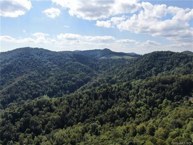 Right view facing away from dirt road.