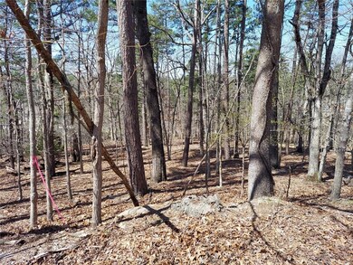 L23 Condry Ln, Bella Vista, AR 72714 - photo 2