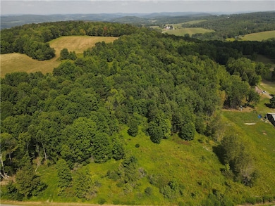 0 Ramey Rd, New Lisbon, NY 13411 - photo 3