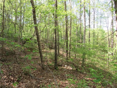 Lot 9 Ledbetter Ln, Walhalla, SC 29691 - photo 2