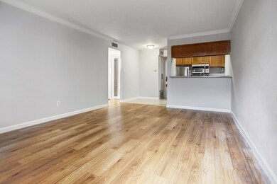 1645 W Main St unit 2, Houston, TX 77006 - photo 3