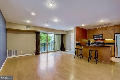 1144 Cove Rd unit 202, Annapolis, MD 21403 - photo 4