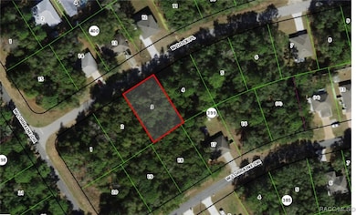 1760 W Dock Place, Citrus Springs, FL 34434 - photo 2