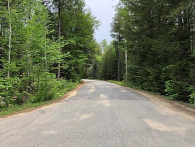 42 Forest Pond Rd unit 42, New Hampton, NH 03256 - photo 5