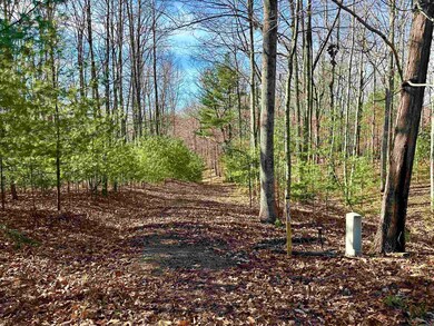 1258 Treetop Ridge Rd, Blacksburg, VA 24060 - photo 2