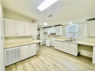 5397 N Irving Park Ave, Hernando, FL 34442 - photo 6