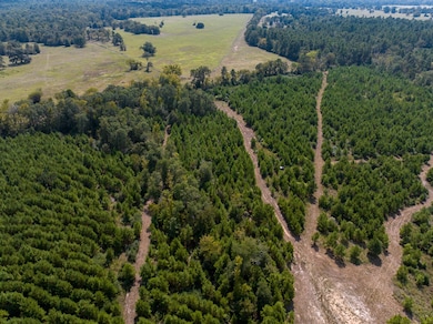 572 Robertson Rd, Lovelady, TX 75851 - photo 3