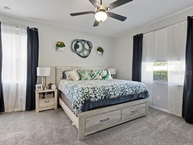 5721 Rutherford Rd, Mount Dora, FL 32757 - photo 6