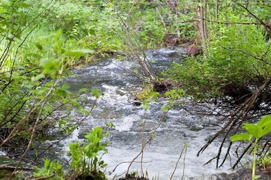 Financing Miningclaim Ownership, Idaho City, ID 83631 - photo 6