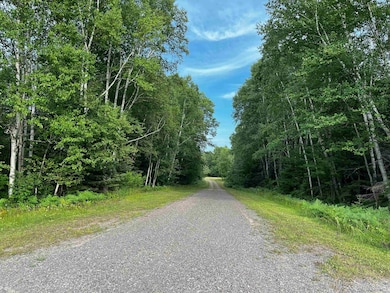 54866 Tecumseh Rd, Calumet, MI 49913 - photo 3