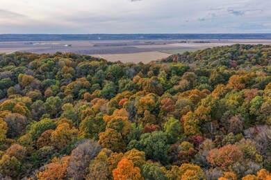 00 Eldred Rd, Richwood Township, IL 62031 - photo 6