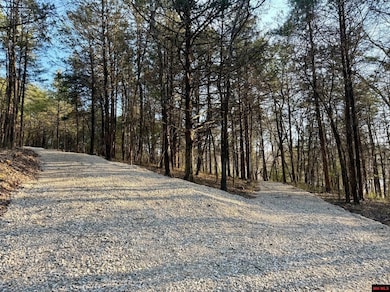 004-00632-000 Hwy 345, Cotter, AR 72626 - photo 6