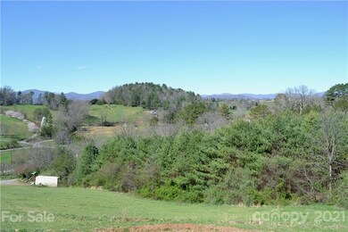 271 Sluder Branch Rd, Leicester, NC 28748 - photo 7