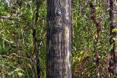 0 Alapua St unit 718244, Mountain View, HI 96771 - photo 5