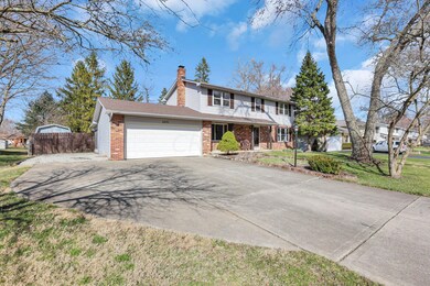 38-web-or-mls-5F3A0479