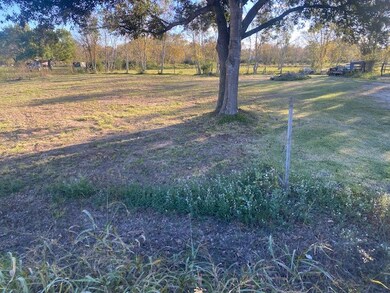 7444 King St, Manvel, TX 77578 - photo 4