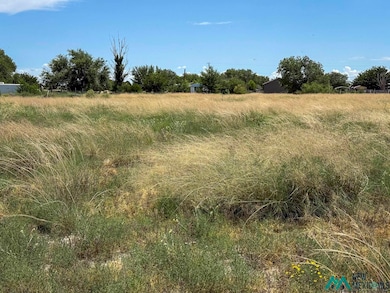 00 Ocotillo Ave, Roswell, NM 88201 - photo 2