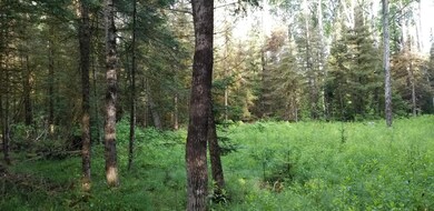 20190702_080011