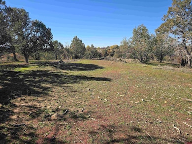 100 & 110 Wrangler Way, Durango, CO 81303 - photo 3