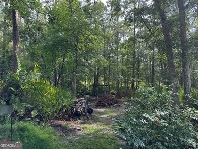 0 Black Tern Way, Waverly, GA 31565 - photo 5