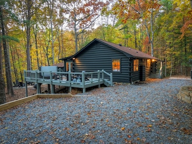 50 Lakeview Dr, Cherry Log, GA 30522 - photo 4