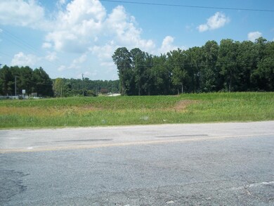 000 Bulluck School, Rocky Mount, NC 27801 - photo 2