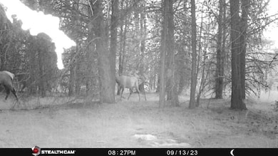 0 Nfd 440 Rd unit 220184517, Chiloquin, OR 97624 - photo 3