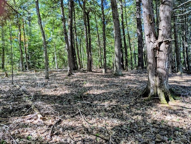 755 Winslows Mills Rd, Waldoboro, ME 04572 - photo 5