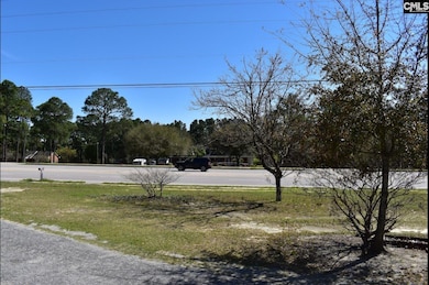 4974 Platt Springs Rd, West Columbia, SC 29170 - photo 3