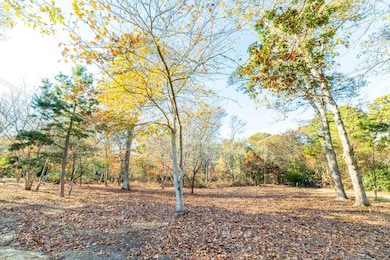 0 Barnes Rd unit 32400334, Oak Bluffs, MA 02557 - photo 4