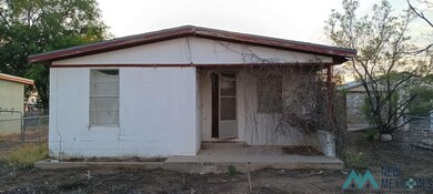 5005 Bannister Rd, Carlsbad, NM 88220 - photo 4