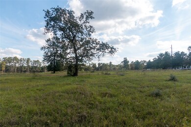 16603 Butera Rd, Magnolia, TX 77355 - photo 7