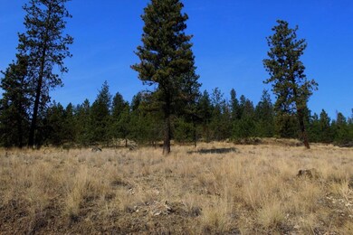 35770 Spruce Grouse Ln N, Davenport, WA 99122 - photo 7