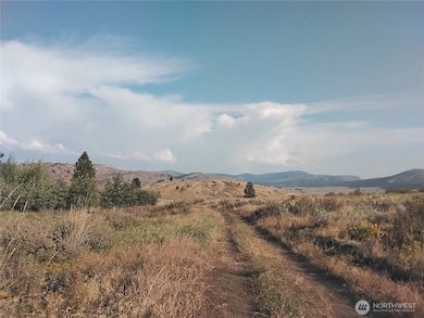 5 Painted Rock Rd, Tonasket, WA 98855 - photo 7