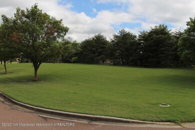 0 E Jefferson Loop unit 2331887, Hernando, MS 38632 - photo 2