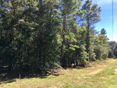 One Acre level Lot!