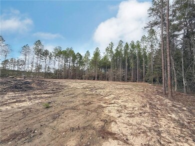 0 Ashmore Rd unit 2532672, Glenmora, LA 71433 - photo 6