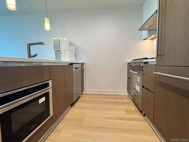 The Farrington unit 9-B, Flushing, NY 11354 - photo 4