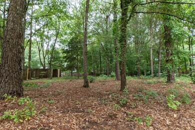 Wooded lot