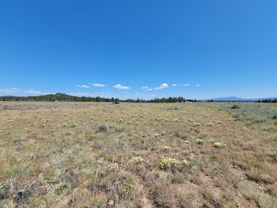 0 Sprague River Rd unit 25582169, Sprague River, OR 97639 - photo 4