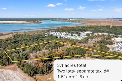 0 Yellow House Place unit 25031109, Cainhoy, SC 29492 - photo 4