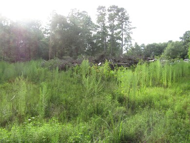 2.53 Acres Hackberry Dr, Plantersville, TX 77363 - photo 2