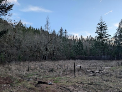 PXL_20250107_001953144