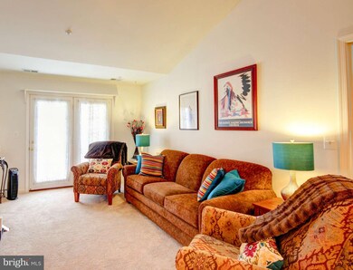 2003 Rudy Serra Dr unit 3C, Sykesville, MD 21784 - photo 4