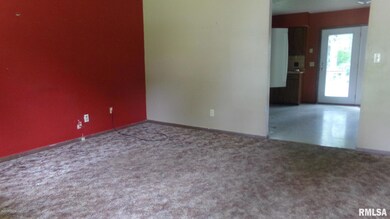 1102 Brook Ln, Harrisburg, IL 62946 - photo 3