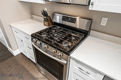 High-end five-burner gas stove!