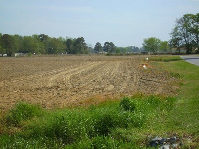 17 Catnip Point, Bath, NC 27808 - photo 3