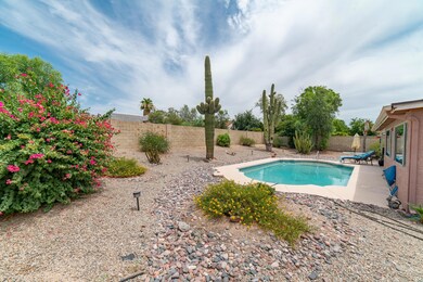 View 2 of back yard