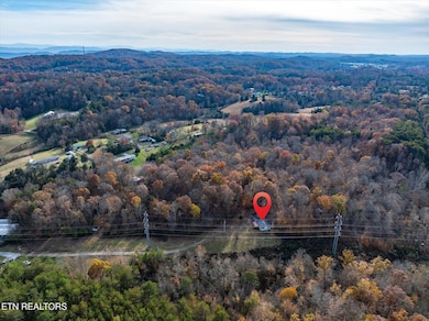 513 McCubbins Rd, Knoxville, TN 37924 - photo 5