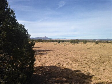 17 Wagon Tree Rd, Ash Fork, AZ 86320 - photo 7